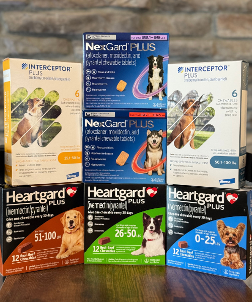 heartworm Heartworm