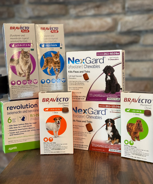 prevention Flea and tick